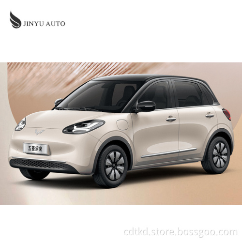 Wuling Small Mini Auto Electric Car Bingguo 2023 333 km Yuexiang Versione Home EV a sinistra Drive Car Electric